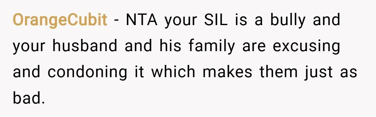 OrangeCubit − NTA your SIL is a bully and your husband and his family are excusing and condoning it which makes them just as bad.