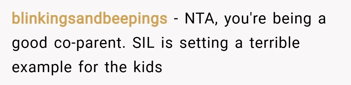 blinkingsandbeepings − NTA, you're being a good co-parent. SIL is setting a terrible example for the kids