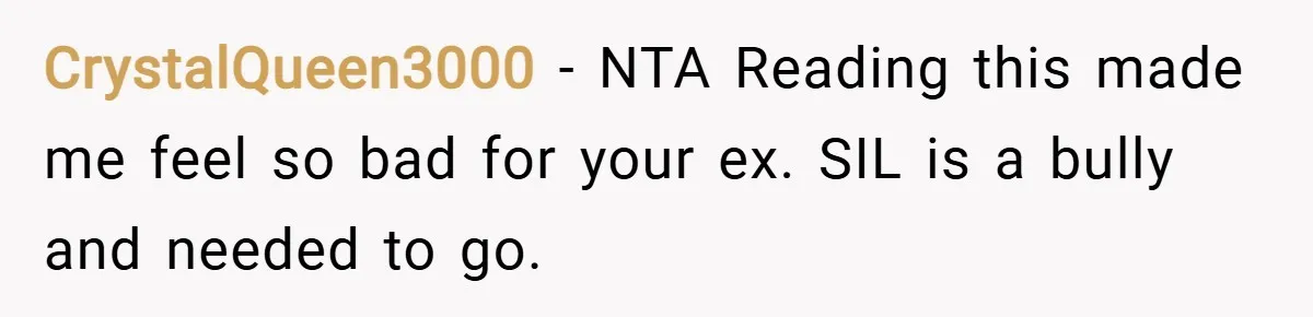 CrystalQueen3000 − NTA Reading this made me feel so bad for your ex. SIL is a bully and needed to go.