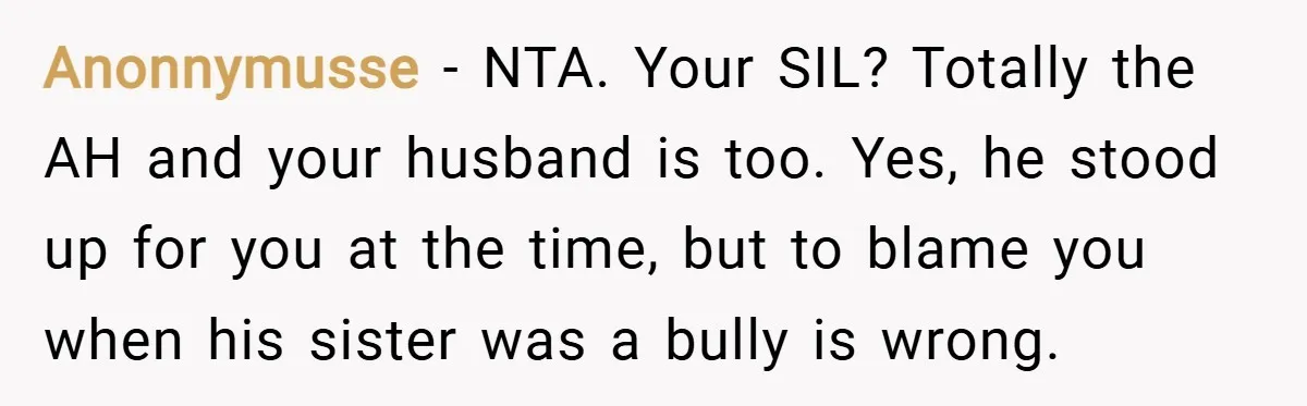 Anonnymusse − NTA. Your SIL? Totally the AH and your husband is too. Yes, he stood up for you at the time, but to blame you when his sister was...