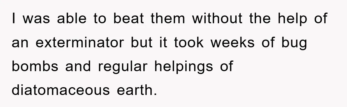 I was able to beat them without the help of an exterminator but it took weeks of bug bombs and regular helpings of diatomaceous earth.