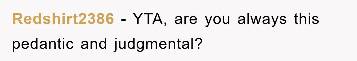 Redshirt2386 − YTA, are you always this pedantic and judgmental?