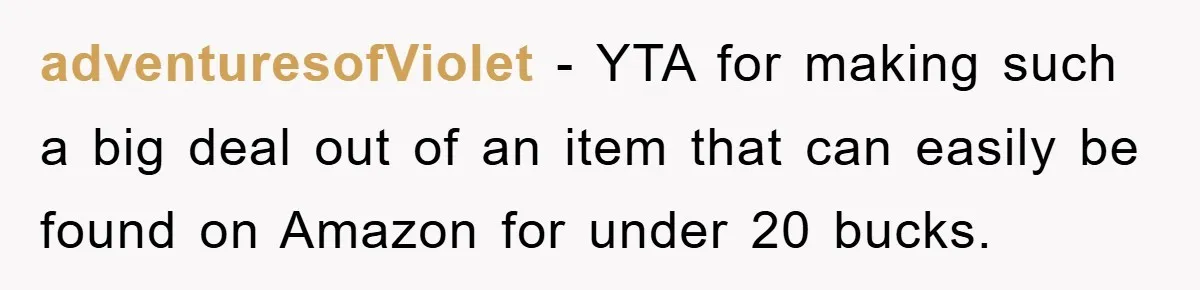 adventuresofViolet − YTA for making such a big deal out of an item that can easily be found on Amazon for under 20 bucks.
