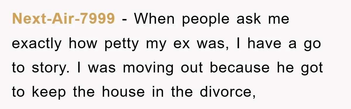 Next-Air-7999 − When people ask me exactly how petty my ex was, I have a go to story. I was moving out because he got to keep the house in...
