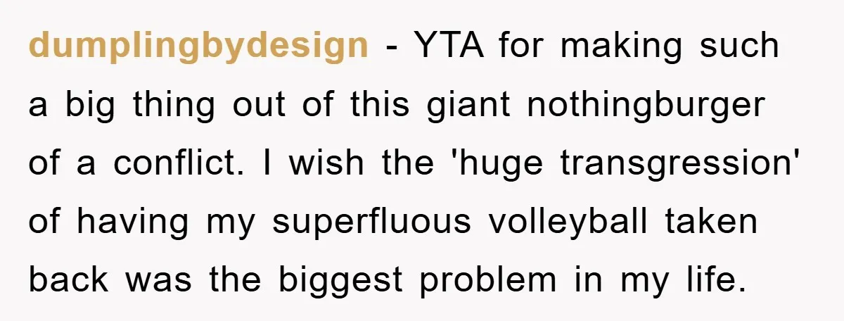 dumplingbydesign − YTA for making such a big thing out of this giant nothingburger of a conflict. I wish the 'huge transgression' of having my superfluous volleyball taken back was...