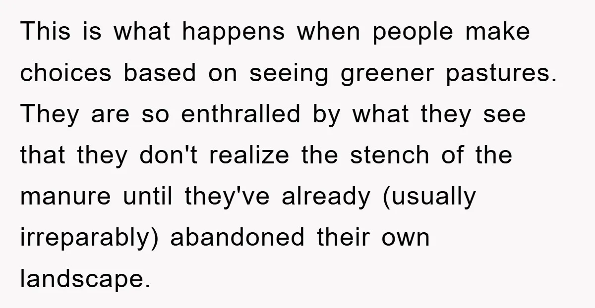 This is what happens when people make choices based on seeing greener pastures. They are so enthralled by what they see that they don't realize the stench of the manure...