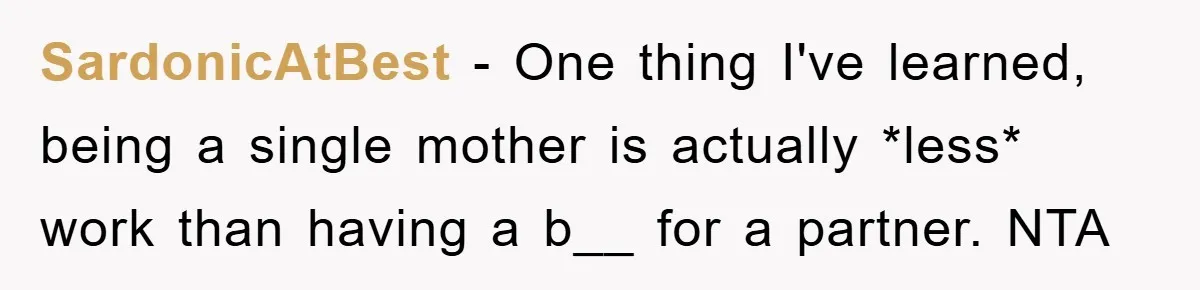 SardonicAtBest − One thing I've learned, being a single mother is actually *less* work than having a b__ for a partner. NTA