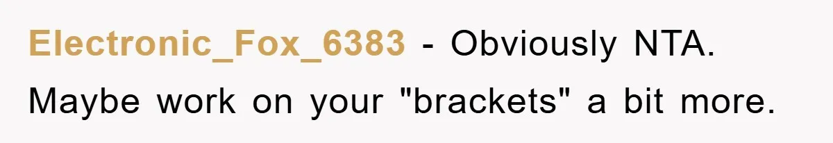 Electronic_Fox_6383 − Obviously NTA. Maybe work on your "brackets" a bit more.