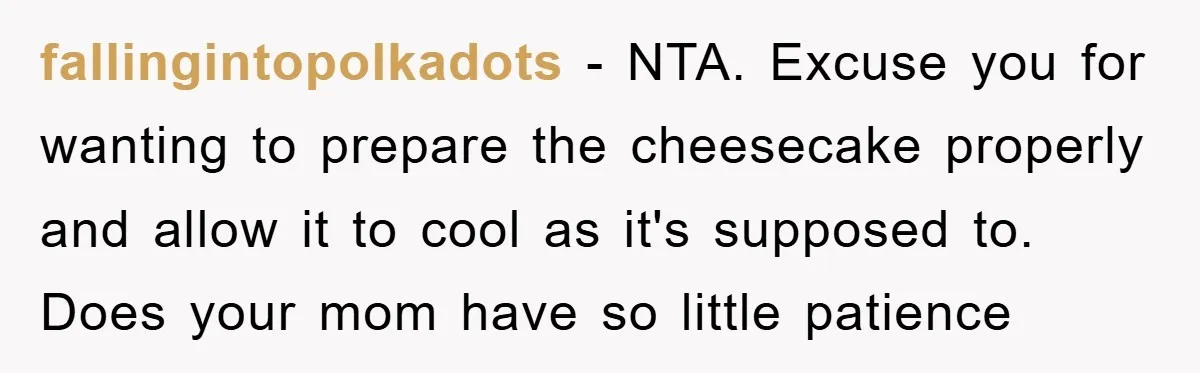 fallingintopolkadots − NTA. Excuse you for wanting to prepare the cheesecake properly and allow it to cool as it's supposed to. Does your mom have so little patience