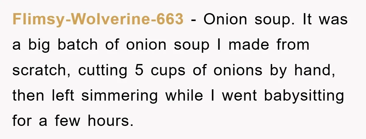 Flimsy-Wolverine-663 − Onion soup. It was a big batch of onion soup I made from scratch, cutting 5 cups of onions by hand, then left simmering while I went babysitting...