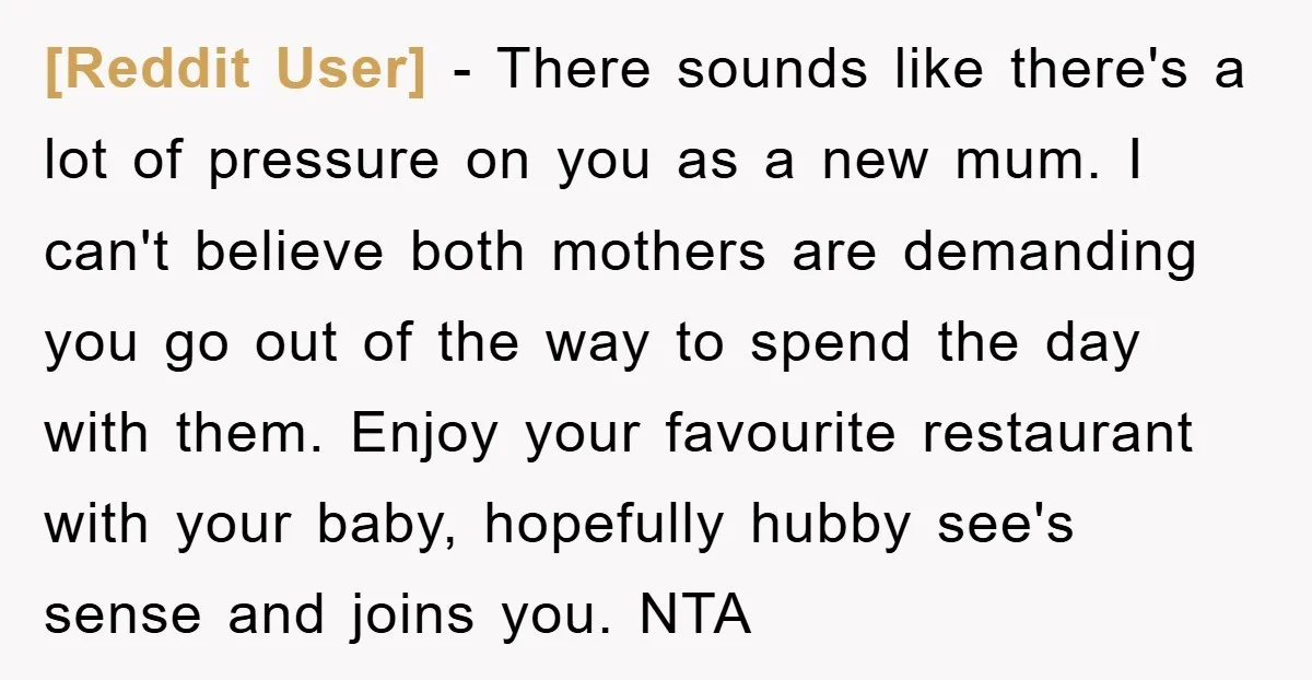 [Reddit User] − There sounds like there's a lot of pressure on you as a new mum. I can't believe both mothers are demanding you go out of the way...