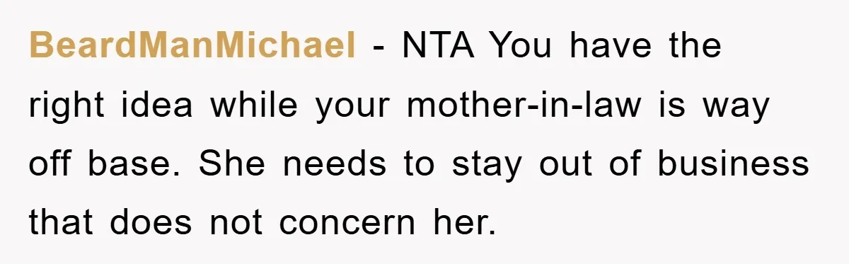 BeardManMichael − NTA You have the right idea while your mother-in-law is way off base. She needs to stay out of business that does not concern her.