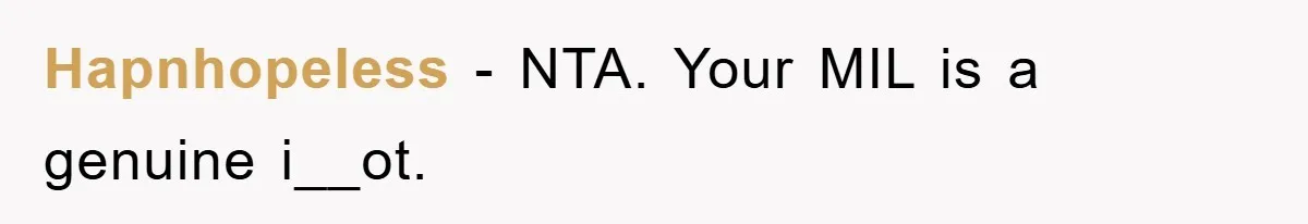 Hapnhopeless − NTA. Your MIL is a genuine i__ot.