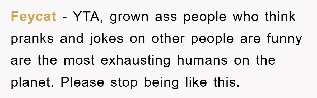 Feycat − YTA, grown ass people who think pranks and jokes on other people are funny are the most exhausting humans on the planet. Please stop being like this.