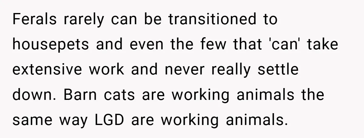 Ferals rarely can be transitioned to housepets and even the few that 'can' take extensive work and never really settle down. Barn cats are working animals the same way LGD...