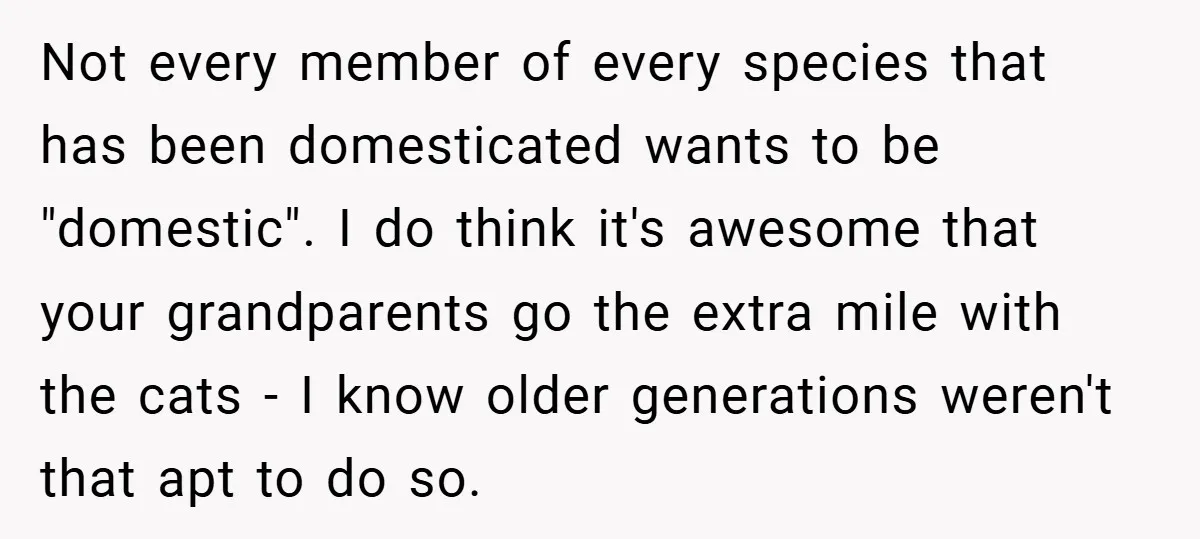 Not every member of every species that has been domesticated wants to be "domestic". I do think it's awesome that your grandparents go the extra mile with the cats -...