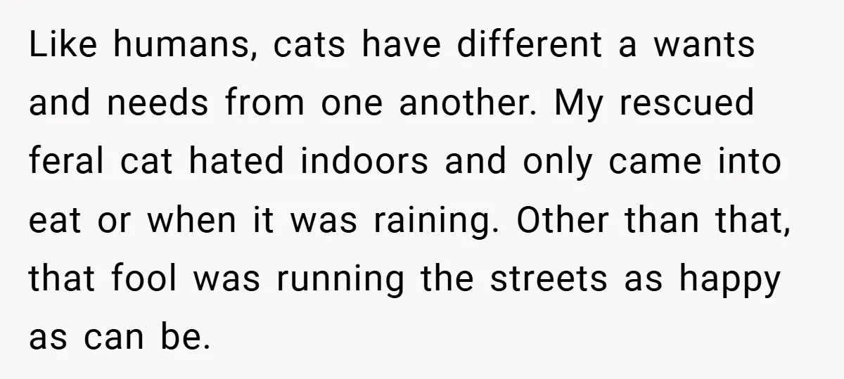 Like humans, cats have different a wants and needs from one another. My rescued feral cat hated indoors and only came into eat or when it was raining. Other than...