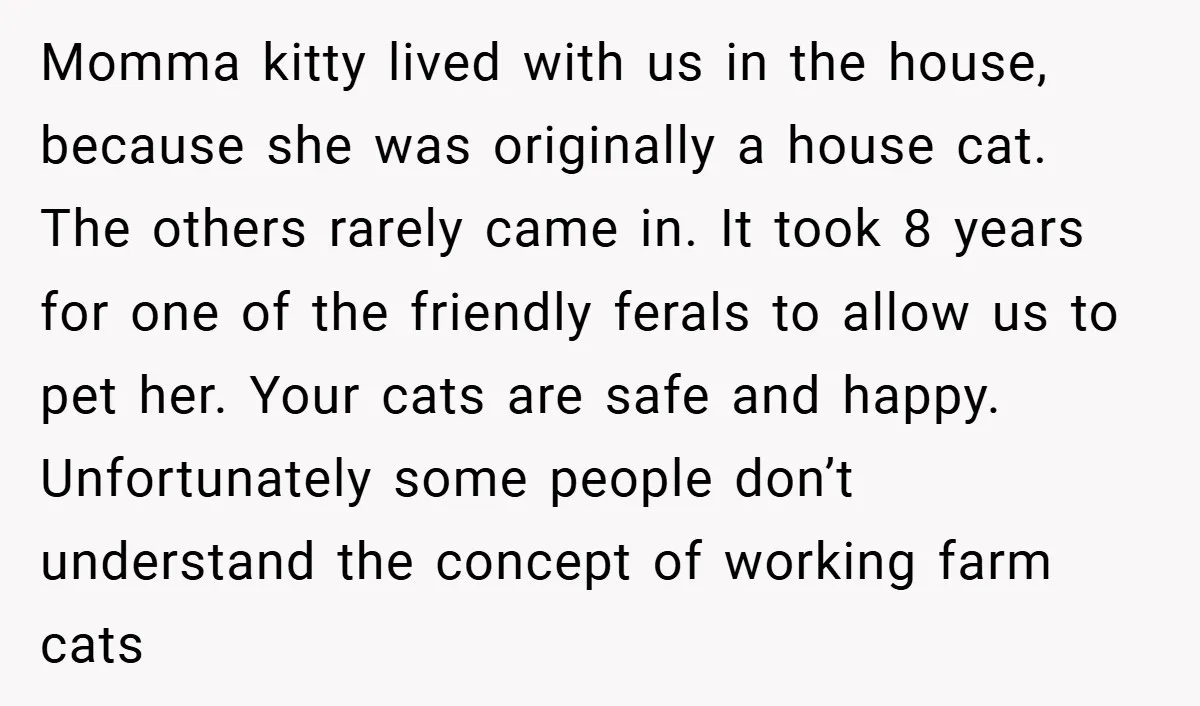 Momma kitty lived with us in the house, because she was originally a house cat. The others rarely came in. It took 8 years for one of the friendly ferals...
