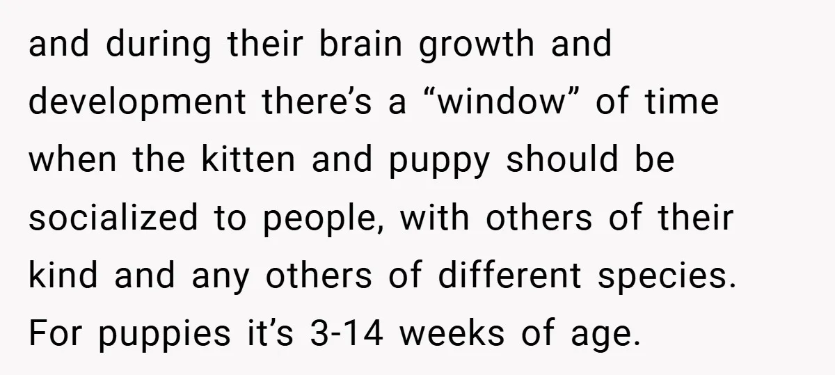 and during their brain growth and development there’s a “window” of time when the kitten and puppy should be socialized to people, with others of their kind and any others...