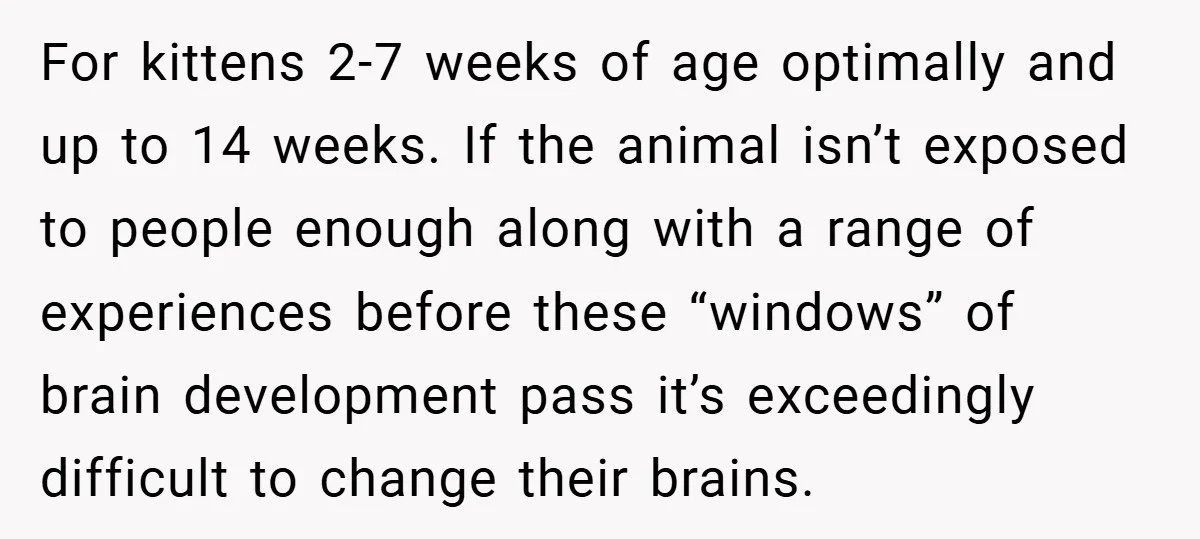 For kittens 2-7 weeks of age optimally and up to 14 weeks. If the animal isn’t exposed to people enough along with a range of experiences before these “windows” of...