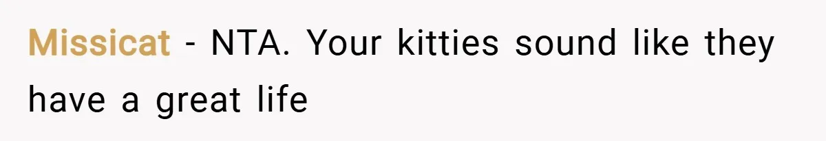 Missicat − NTA. Your kitties sound like they have a great life