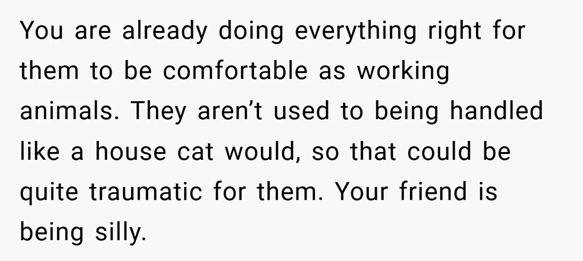 You are already doing everything right for them to be comfortable as working animals. They aren’t used to being handled like a house cat would, so that could be quite...