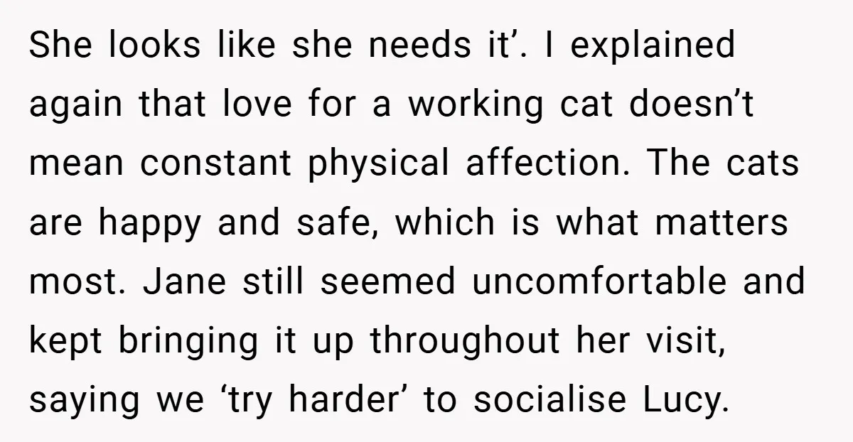 She looks like she needs it’. I explained again that love for a working cat doesn’t mean constant physical affection. The cats are happy and safe, which is what matters...