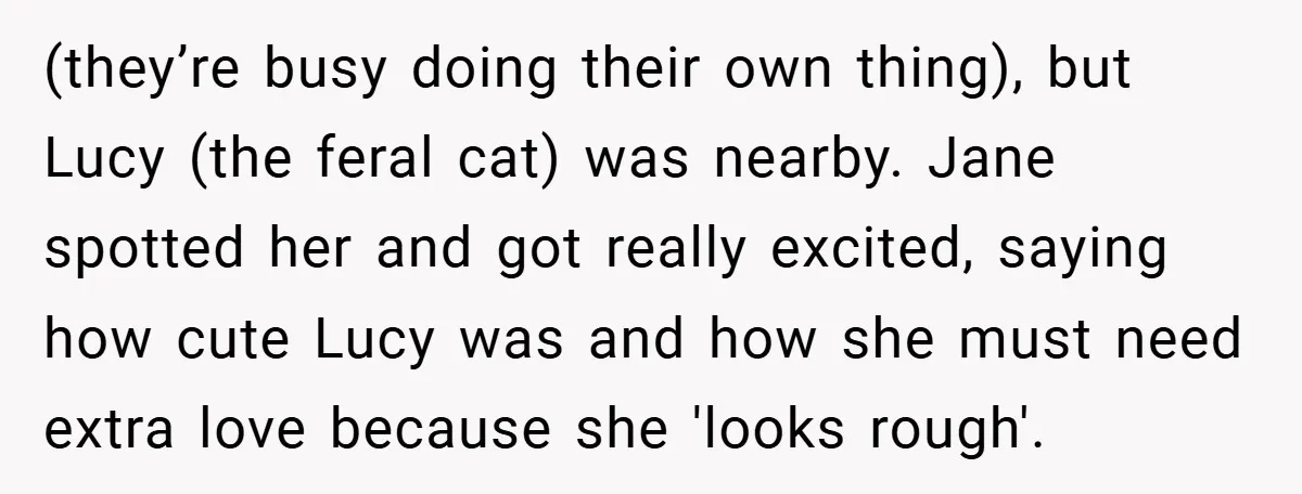 (they’re busy doing their own thing), but Lucy (the feral cat) was nearby. Jane spotted her and got really excited, saying how cute Lucy was and how she must need...