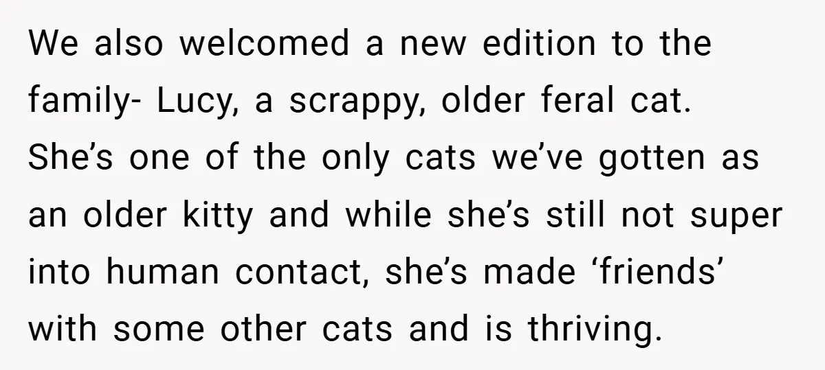 We also welcomed a new edition to the family- Lucy, a scrappy, older feral cat. She’s one of the only cats we’ve gotten as an older kitty and while she’s...