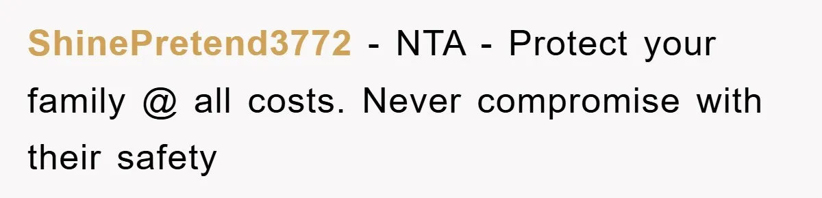 ShinePretend3772 − NTA - Protect your family @ all costs. Never compromise with their safety