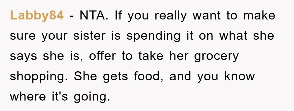 Labby84 − NTA. If you really want to make sure your sister is spending it on what she says she is, offer to take her grocery shopping. She gets food,...