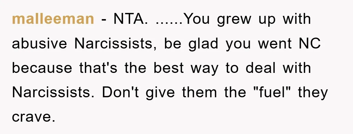 malleeman − NTA. ......You grew up with abusive Narcissists, be glad you went NC because that's the best way to deal with Narcissists. Don't give them the "fuel" they crave.