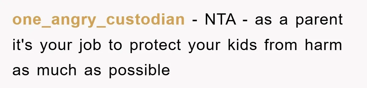 one_angry_custodian − NTA - as a parent it's your job to protect your kids from harm as much as possible