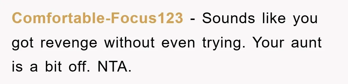 Comfortable-Focus123 − Sounds like you got revenge without even trying. Your aunt is a bit off. NTA.