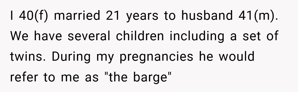 I 40(f) married 21 years to husband 41(m). We have several children including a set of twins. During my pregnancies he would refer to me as "the barge"