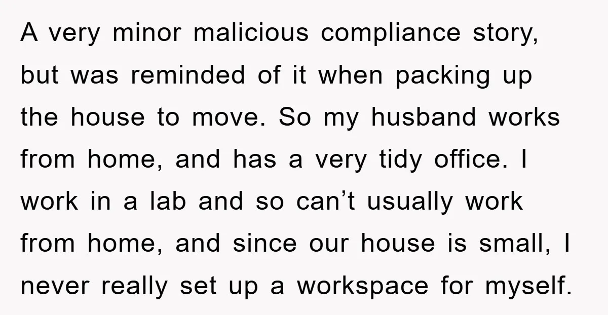 A very minor malicious compliance story, but was reminded of it when packing up the house to move. So my husband works from home, and has a very tidy office....