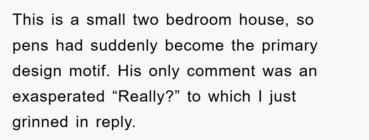 This is a small two bedroom house, so pens had suddenly become the primary design motif. His only comment was an exasperated “Really?” to which I just grinned in reply.