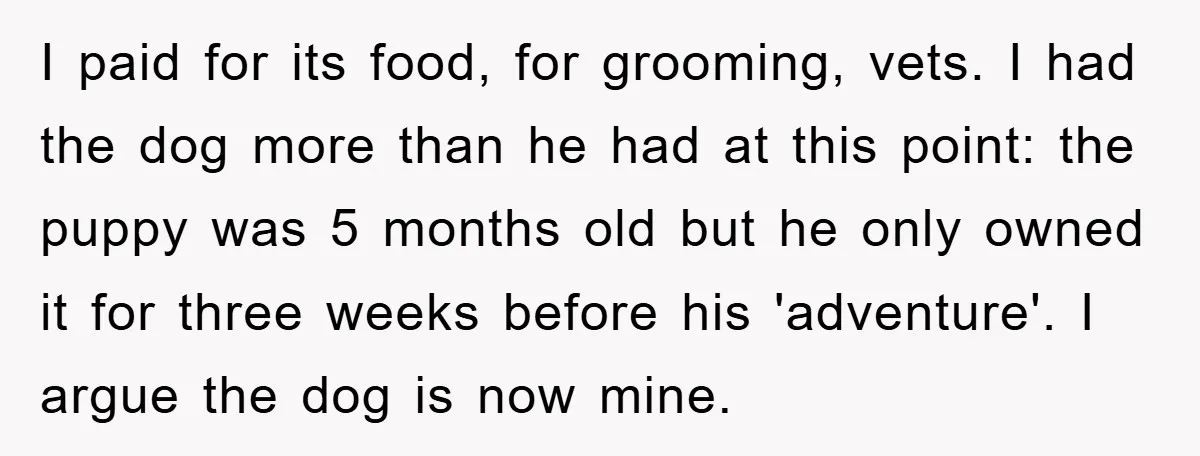 I paid for its food, for grooming, vets. I had the dog more than he had at this point: the puppy was 5 months old but he only owned it...
