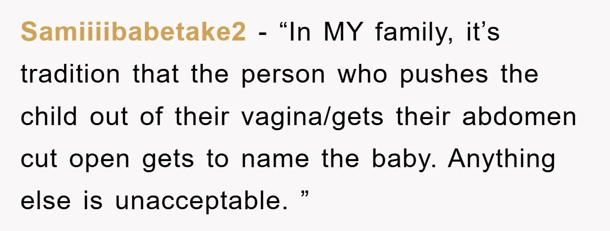 Samiiiibabetake2 − “In MY family, it’s tradition that the person who pushes the child out of their vagina/gets their abdomen cut open gets to name the baby. Anything else is...
