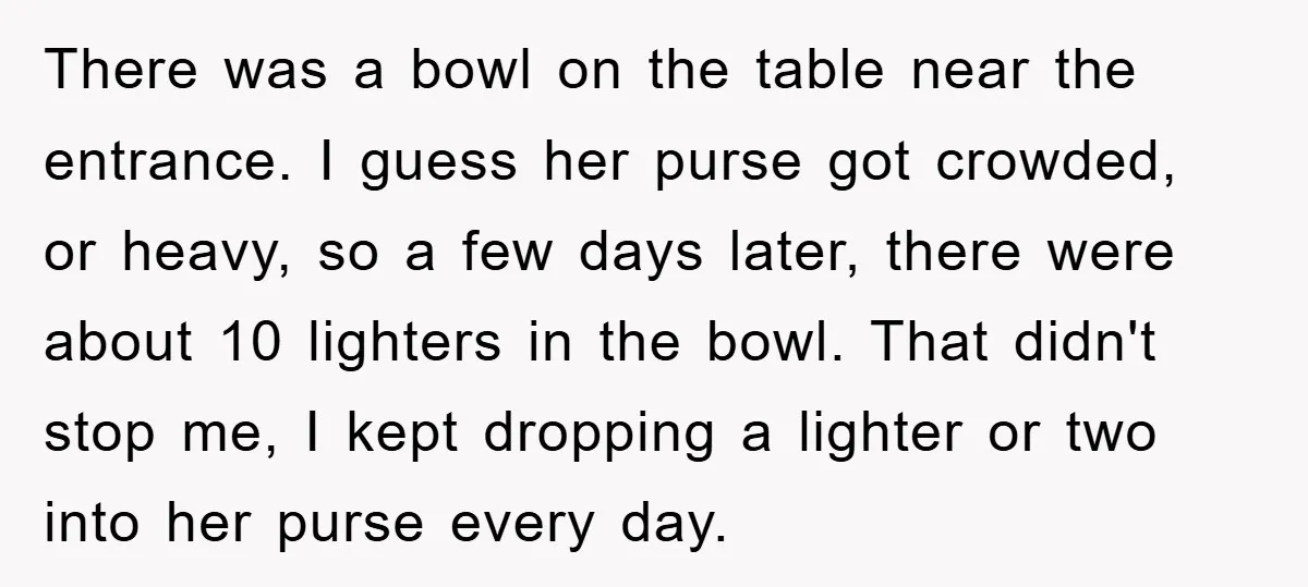 There was a bowl on the table near the entrance. I guess her purse got crowded, or heavy, so a few days later, there were about 10 lighters in the...