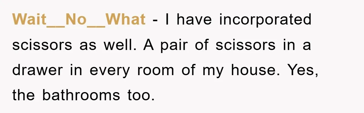 Wait__No__What − I have incorporated scissors as well. A pair of scissors in a drawer in every room of my house. Yes, the bathrooms too.