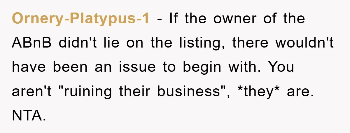 Ornery-Platypus-1 − If the owner of the ABnB didn't lie on the listing, there wouldn't have been an issue to begin with. You aren't "ruining their business", *they* are. NTA.