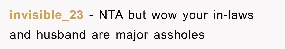 invisible_23 − NTA but wow your in-laws and husband are major assholes