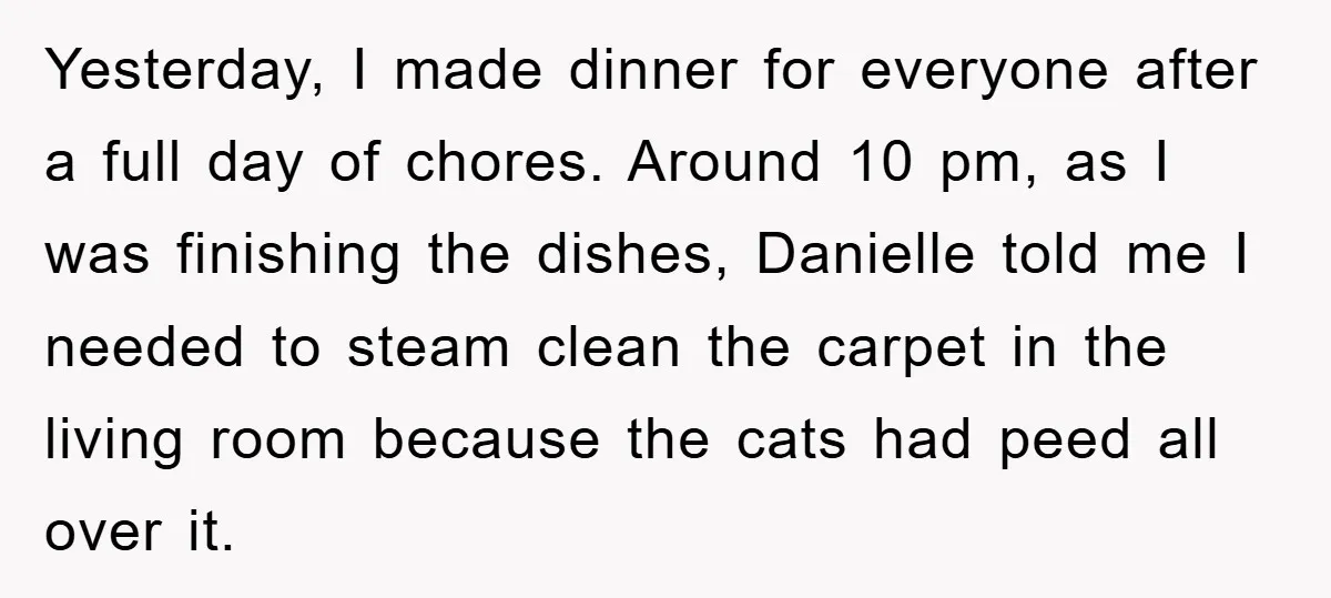 Yesterday, I made dinner for everyone after a full day of chores. Around 10 pm, as I was finishing the dishes, Danielle told me I needed to steam clean the...