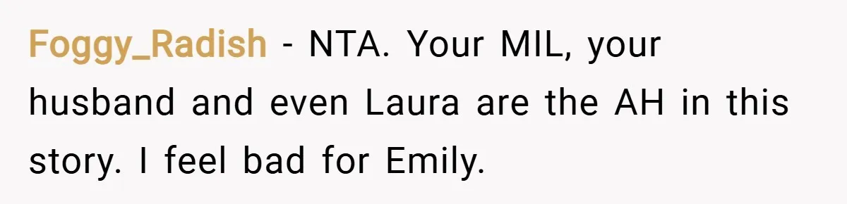 Foggy_Radish − NTA. Your MIL, your husband and even Laura are the AH in this story. I feel bad for Emily.