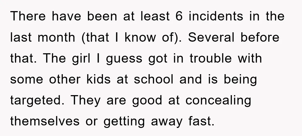 There have been at least 6 incidents in the last month (that I know of). Several before that. The girl I guess got in trouble with some other kids at...