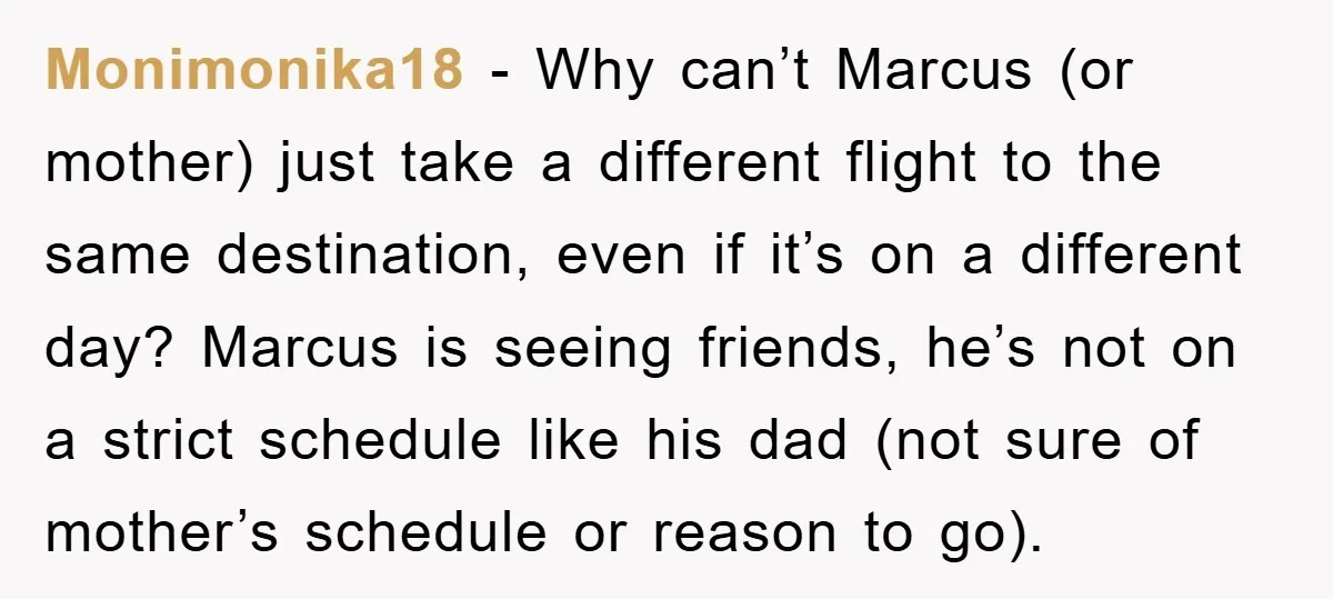 Monimonika18 - Why can’t Marcus (or mother) just take a different flight to the same destination, even if it’s on a different day? Marcus is seeing friends, he’s not on...