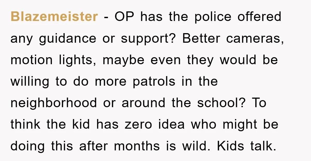 Blazemeister − OP has the police offered any guidance or support? Better cameras, motion lights, maybe even they would be willing to do more patrols in the neighborhood or around...