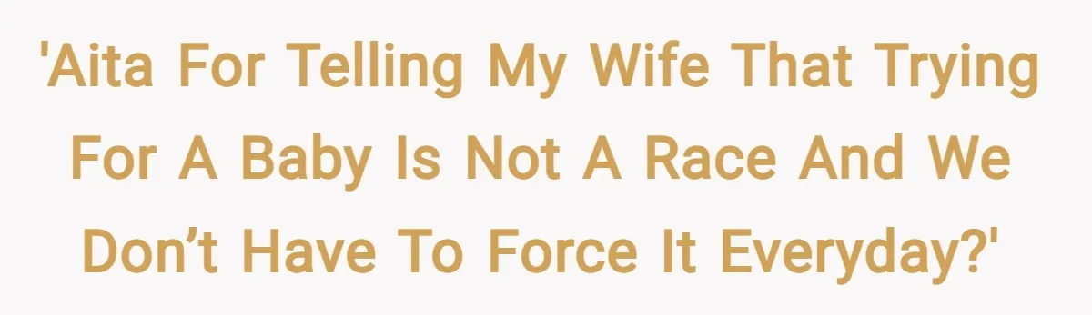 'AITA for telling my wife that trying for a baby is not a race and we don’t have to force it everyday?'
