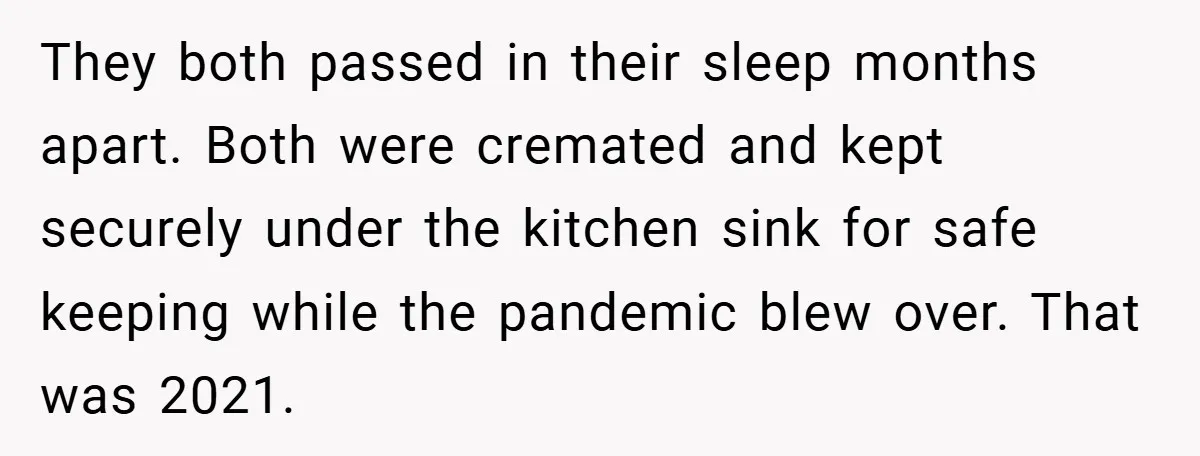 They both passed in their sleep months apart. Both were cremated and kept securely under the kitchen sink for safe keeping while the pandemic blew over. That was 2021.